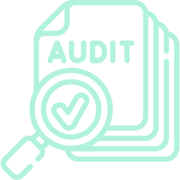 Audit