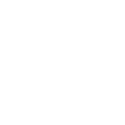 Actionable Insights