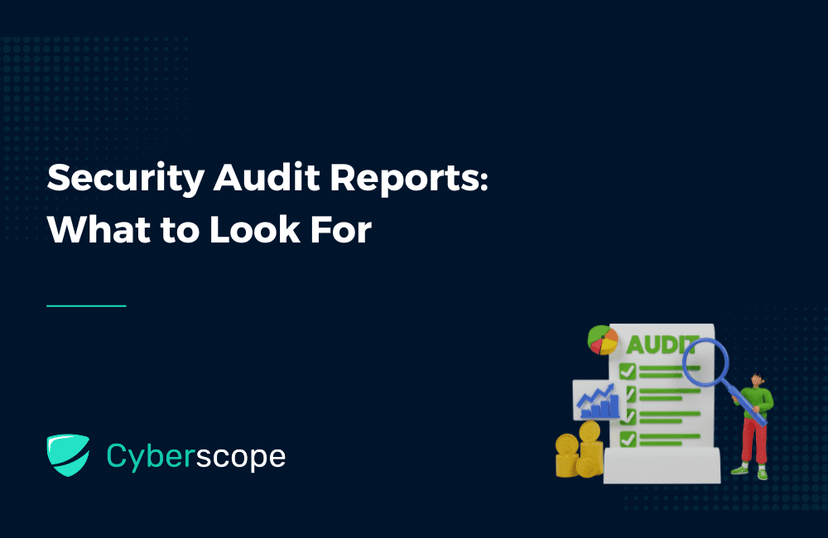 Security Audit Reports: What to Look For