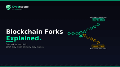 Blockchain Forks Explained