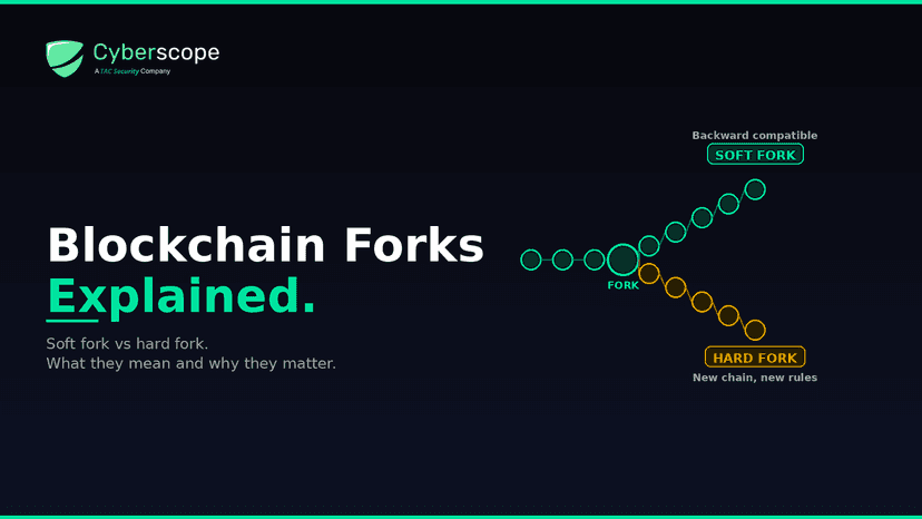 Blockchain Forks Explained