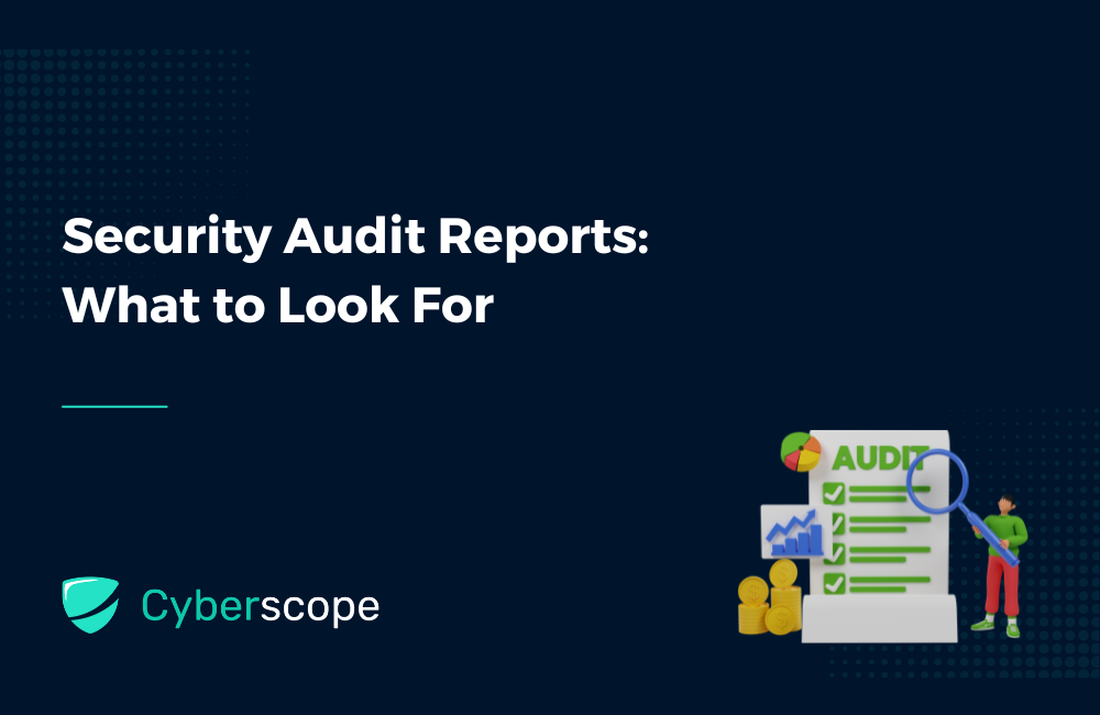 Security Audit Reports: What to Look For