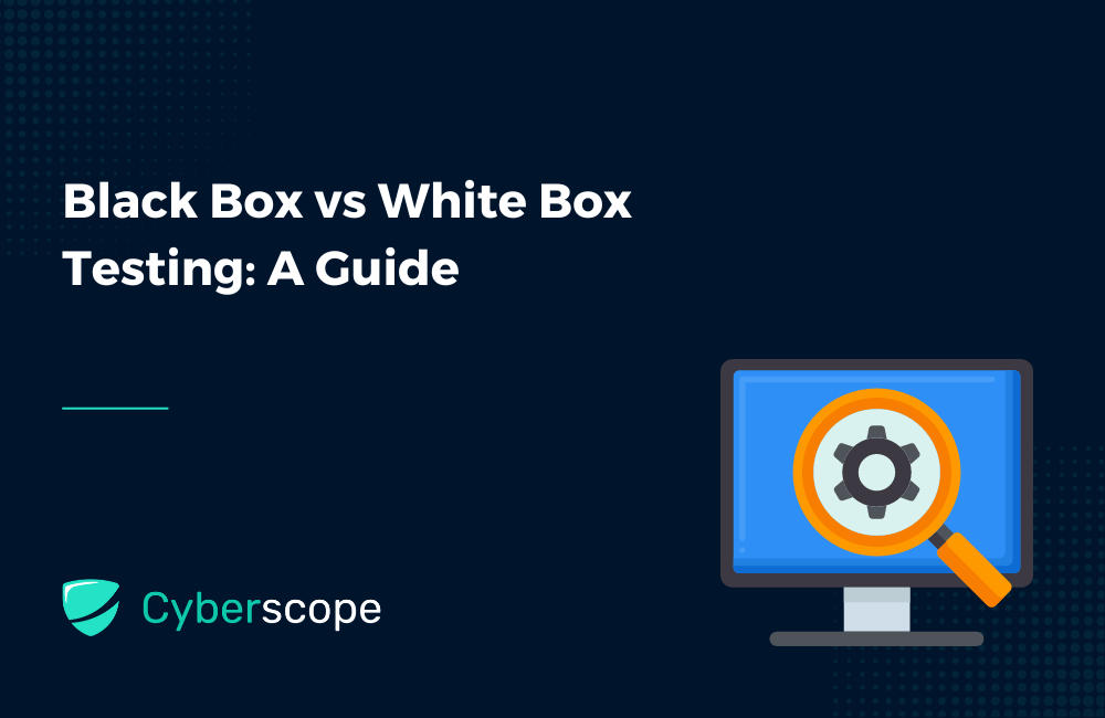 Black Box vs White Box Testing: A Guide