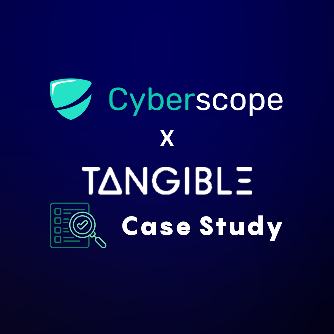 Cyberscope and Tangible Store Audit - Case Study